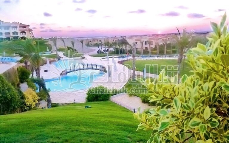 WhatsApp Image 2025-03-27 at 3.16