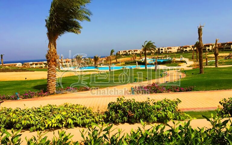 WhatsApp Image 2025-03-27 at 3.16