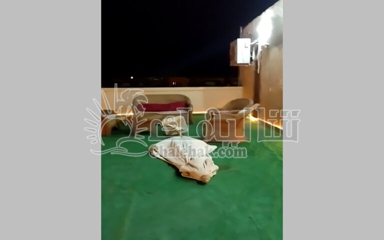 -للبيع-ف-قرية-الحياه-العين-السخنة- (1)