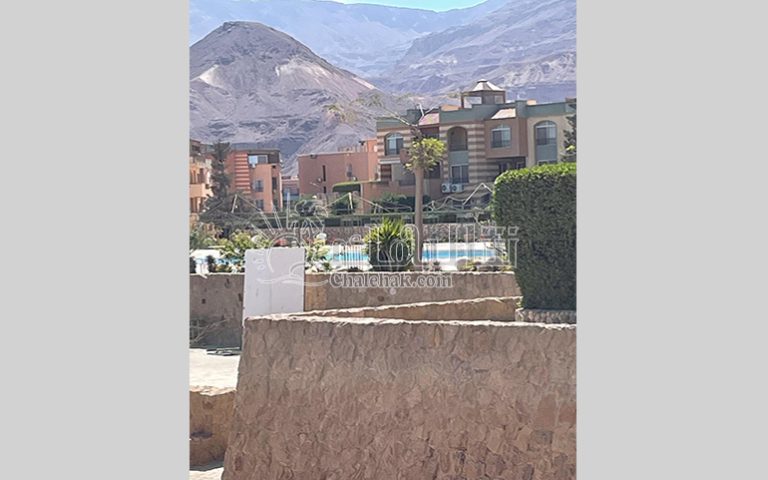 WhatsApp Image 2026-04-14 at 3.36