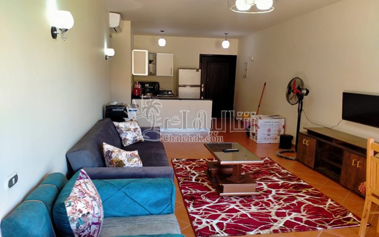 WhatsApp Image 2026-04-19 at 5.05