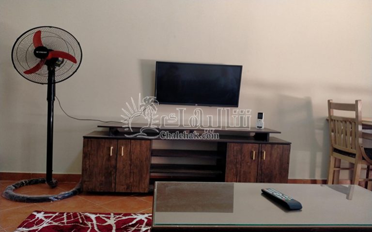 WhatsApp Image 2026-04-19 at 5.05