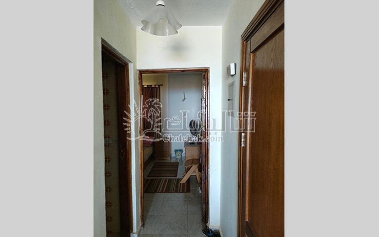 WhatsApp Image 2026-04-29 at 4.20
