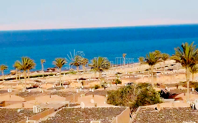 للبيع ستوديو ستيلا سي
